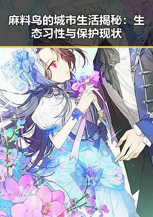麻料鸟的城市生活揭秘：生态习性与保护现状