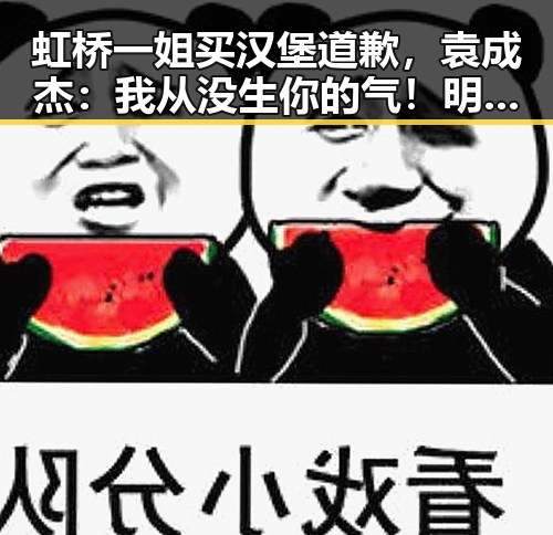 虹桥一姐买汉堡道歉，袁成杰：我从没生你的气！明星粉丝的“蹲点”之路也太离谱了吧✨